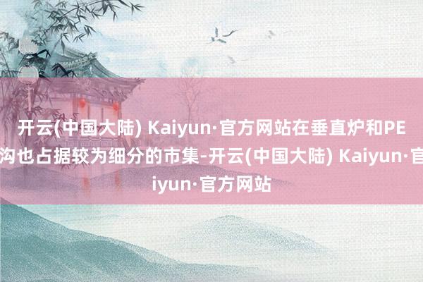 开云(中国大陆) Kaiyun·官方网站在垂直炉和PECVD鸿沟也占据较为细分的市集-开云(中国大陆) Kaiyun·官方网站