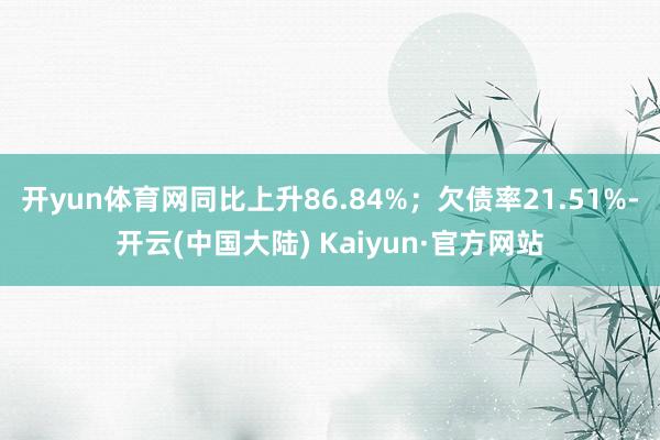 开yun体育网同比上升86.84%；欠债率21.51%-开云(中国大陆) Kaiyun·官方网站