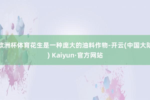 欧洲杯体育花生是一种庞大的油料作物-开云(中国大陆) Kaiyun·官方网站