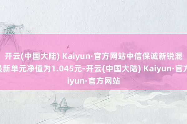 开云(中国大陆) Kaiyun·官方网站中信保诚新锐混杂A最新单元净值为1.045元-开云(中国大陆) Kaiyun·官方网站