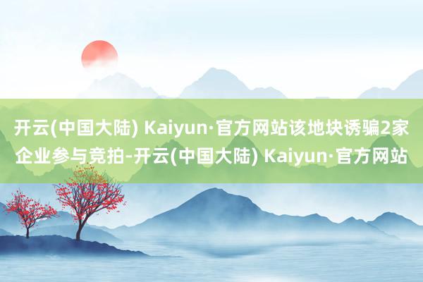 开云(中国大陆) Kaiyun·官方网站该地块诱骗2家企业参与竞拍-开云(中国大陆) Kaiyun·官方网站