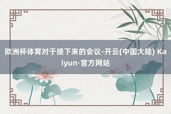 欧洲杯体育　　对于接下来的会议-开云(中国大陆) Kaiyun·官方网站